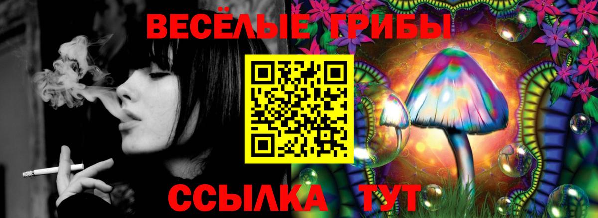 Псилоцибиновые грибы мухоморы  Псилоцибиновые грибы мицелий  Вход с VPN  Когалым 