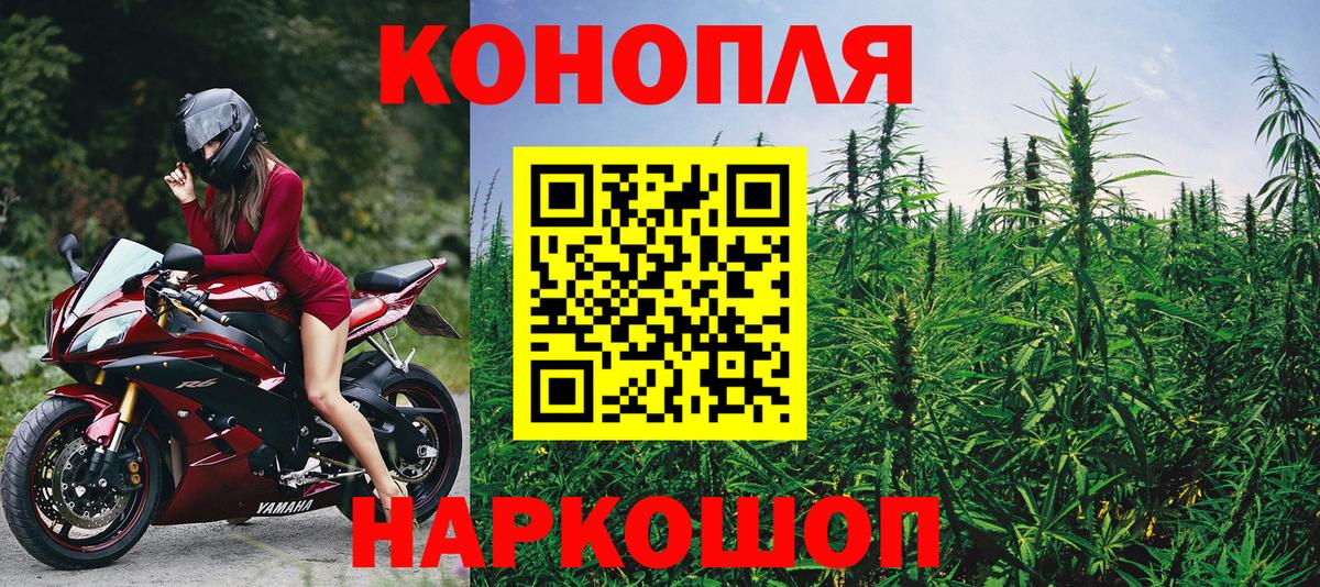 Конопля сатива Когалым